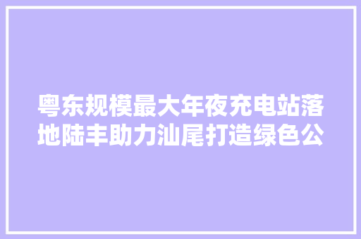 粤东规模最大年夜充电站落地陆丰助力汕尾打造绿色公交城市