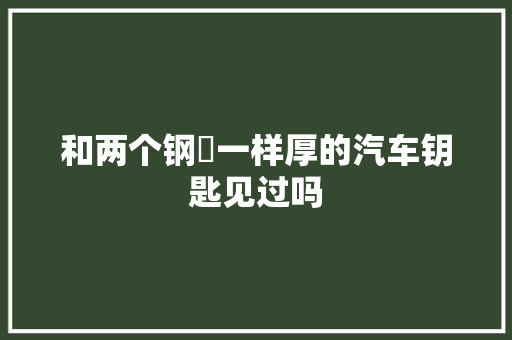 和两个钢镚一样厚的汽车钥匙见过吗