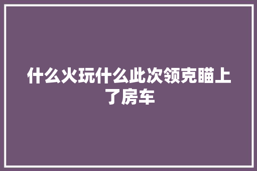 什么火玩什么此次领克瞄上了房车