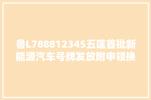 鲁L788812345五莲首批新能源汽车号牌发放附申领换领前提
