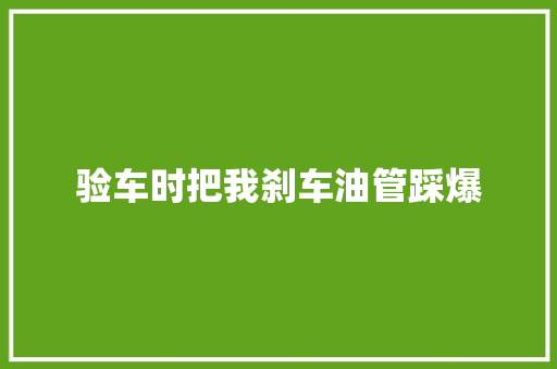 验车时把我刹车油管踩爆