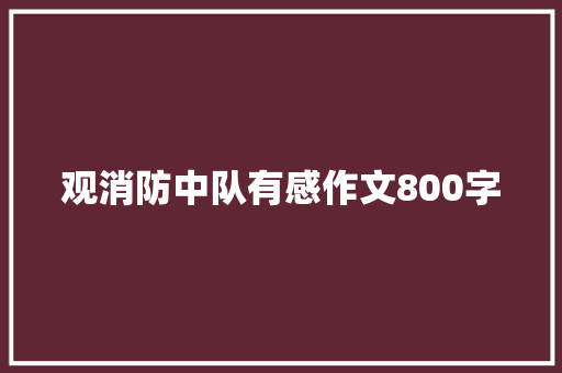 观消防中队有感作文800字