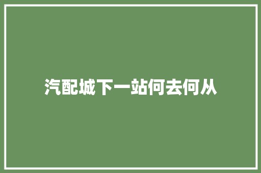汽配城下一站何去何从