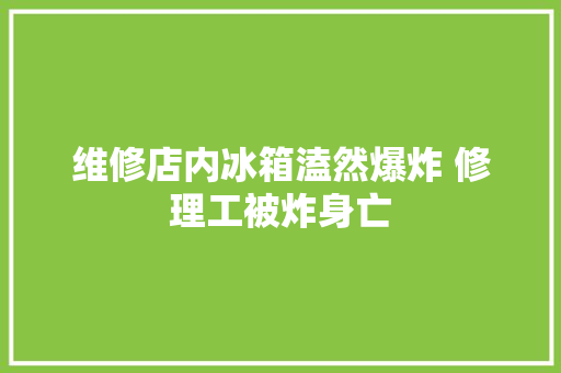 维修店内冰箱溘然爆炸 修理工被炸身亡