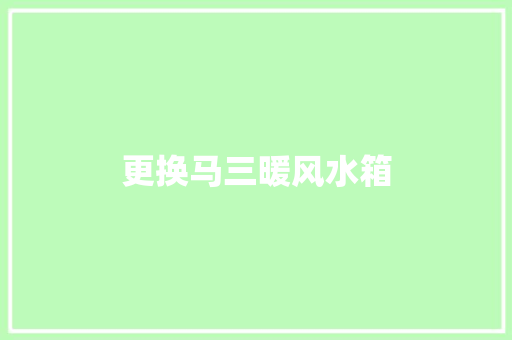 更换马三暖风水箱