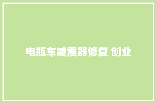 电瓶车减震器修复 创业