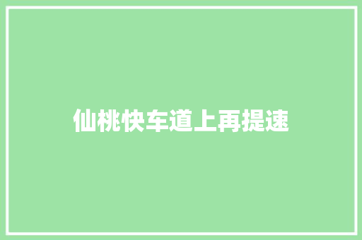仙桃快车道上再提速