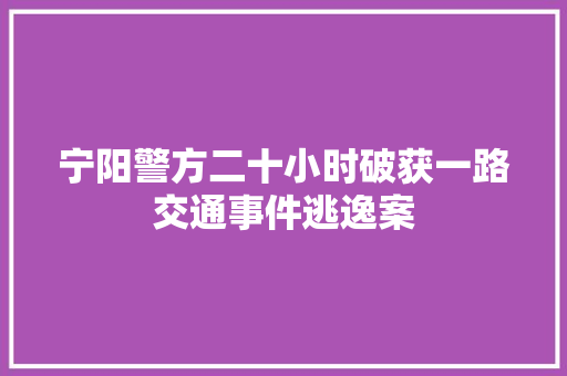 宁阳警方二十小时破获一路交通事件逃逸案
