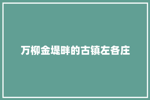 万柳金堤畔的古镇左各庄