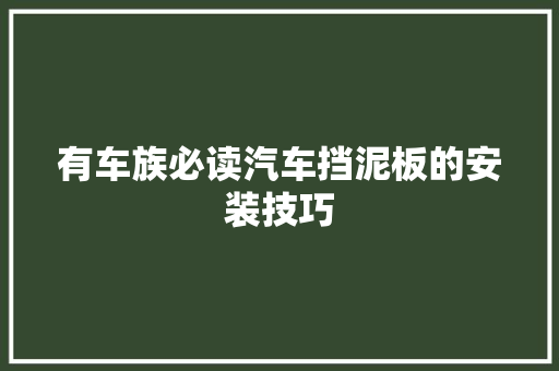 有车族必读汽车挡泥板的安装技巧