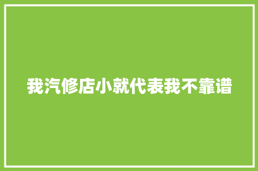 我汽修店小就代表我不靠谱