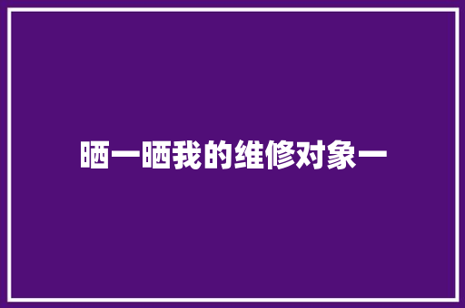 晒一晒我的维修对象一