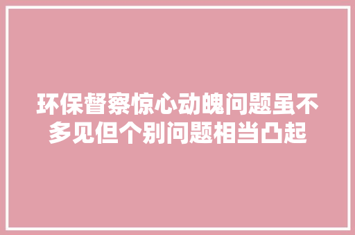 环保督察惊心动魄问题虽不多见但个别问题相当凸起