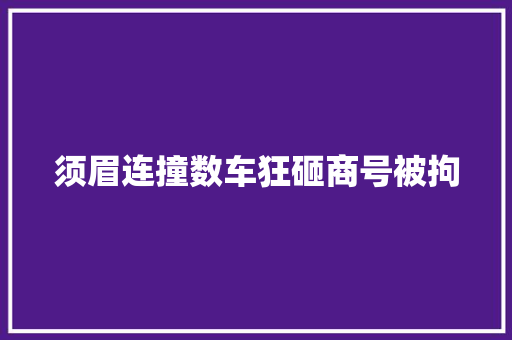 须眉连撞数车狂砸商号被拘