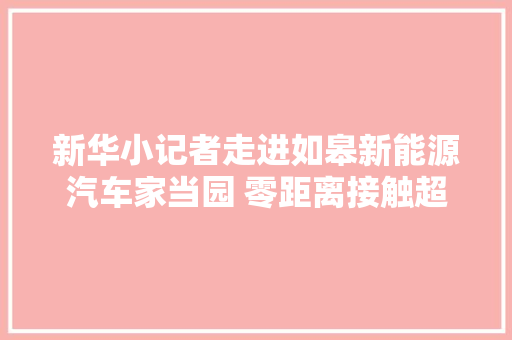 新华小记者走进如皋新能源汽车家当园 零距离接触超跑之王赛麟