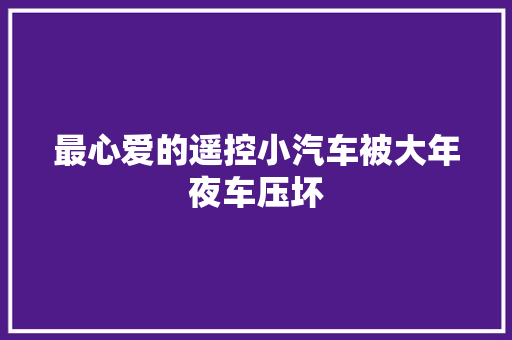 最心爱的遥控小汽车被大年夜车压坏