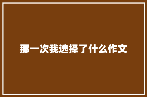 那一次我选择了什么作文