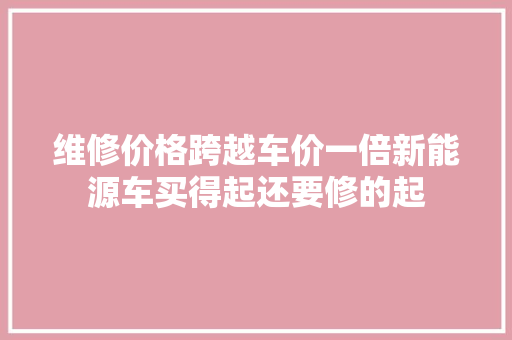 维修价格跨越车价一倍新能源车买得起还要修的起