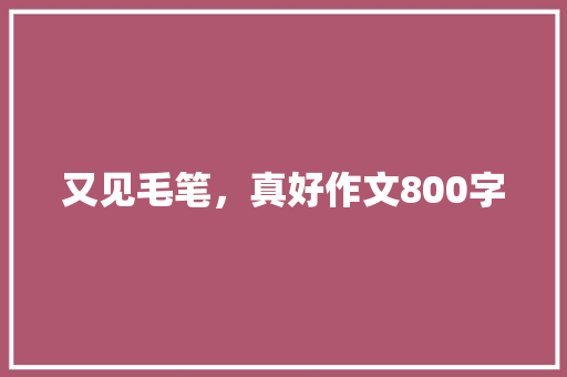 又见毛笔，真好作文800字