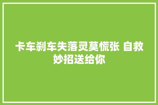 卡车刹车失落灵莫慌张 自救妙招送给你