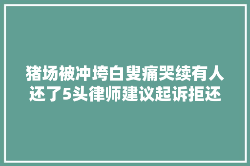 猪场被冲垮白叟痛哭续有人还了5头律师建议起诉拒还猪者