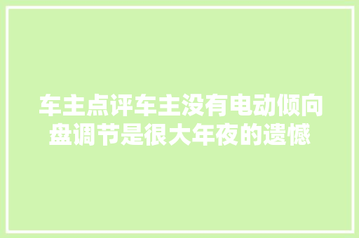 车主点评车主没有电动倾向盘调节是很大年夜的遗憾