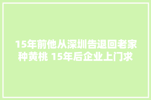 15年前他从深圳告退回老家种黄桃 15年后企业上门求他供货