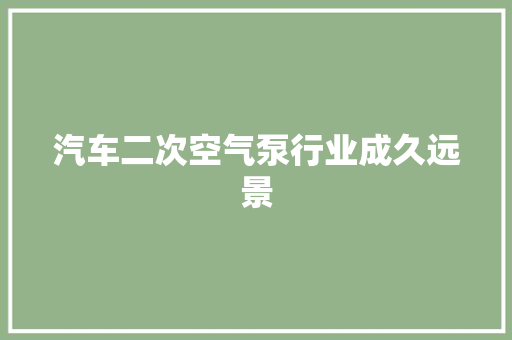 汽车二次空气泵行业成久远景