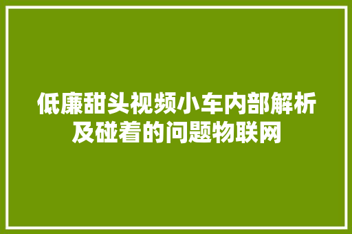 低廉甜头视频小车内部解析及碰着的问题物联网