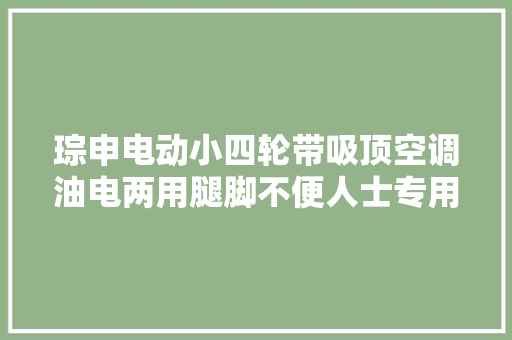 琮申电动小四轮带吸顶空调油电两用腿脚不便人士专用