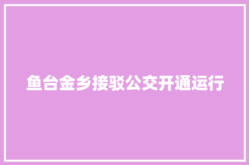 鱼台金乡接驳公交开通运行