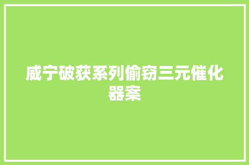威宁破获系列偷窃三元催化器案
