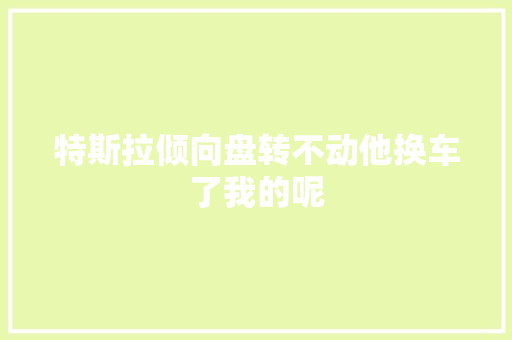 特斯拉倾向盘转不动他换车了我的呢