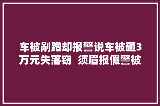 车被剐蹭却报警说车被砸3万元失落窃  须眉报假警被拘留