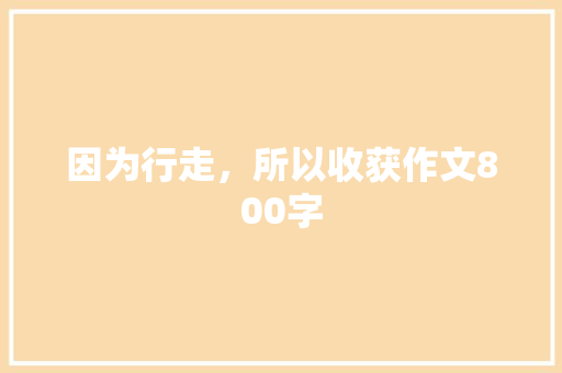 因为行走，所以收获作文800字