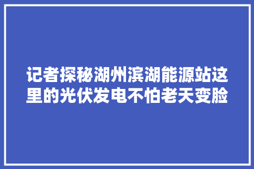 记者探秘湖州滨湖能源站这里的光伏发电不怕老天变脸