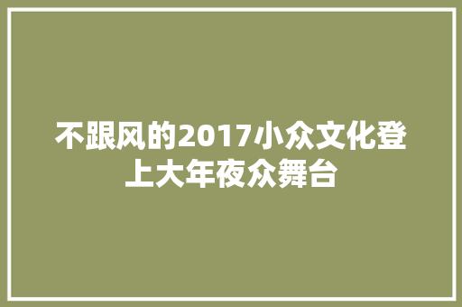 不跟风的2017小众文化登上大年夜众舞台
