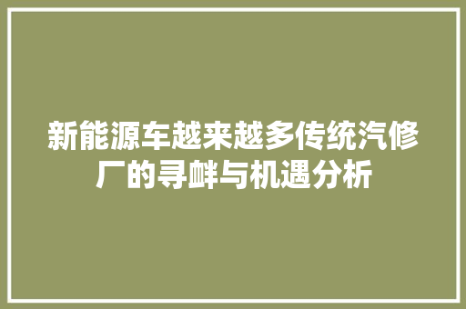 新能源车越来越多传统汽修厂的寻衅与机遇分析