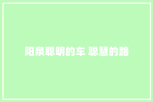 阳泉聪明的车 聪慧的路