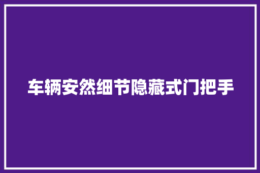 车辆安然细节隐藏式门把手