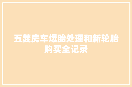 五菱房车爆胎处理和新轮胎购买全记录