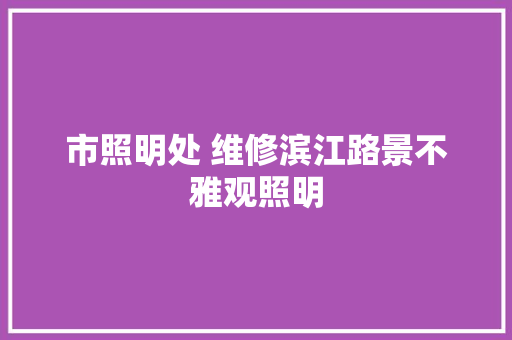 市照明处 维修滨江路景不雅观照明