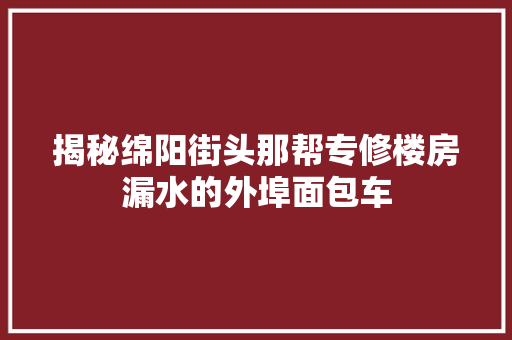 揭秘绵阳街头那帮专修楼房漏水的外埠面包车