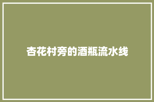 杏花村旁的酒瓶流水线