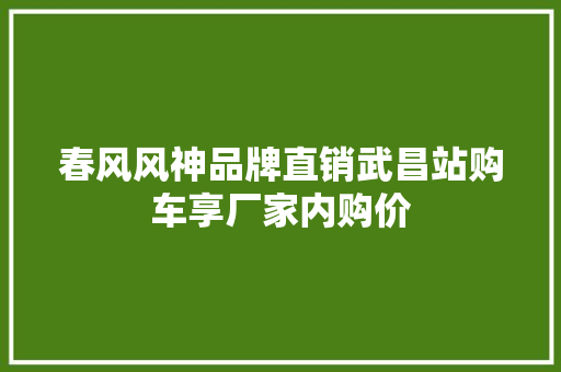 春风风神品牌直销武昌站购车享厂家内购价