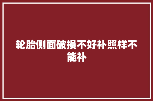轮胎侧面破损不好补照样不能补