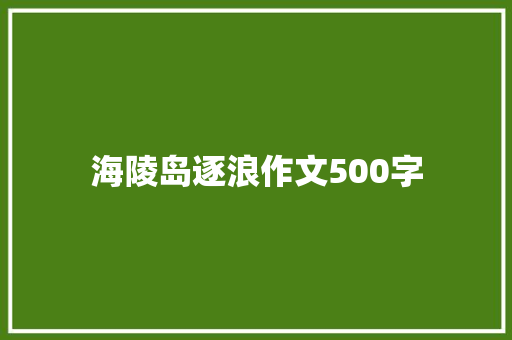 海陵岛逐浪作文500字