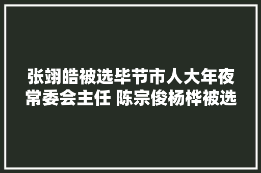 张翊皓被选毕节市人大年夜常委会主任 陈宗俊杨桦被选副主任