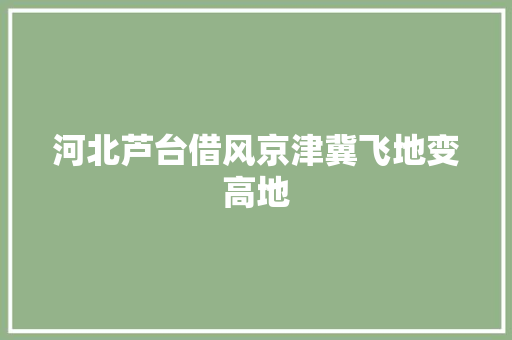 河北芦台借风京津冀飞地变高地