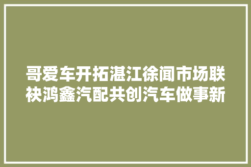 哥爱车开拓湛江徐闻市场联袂鸿鑫汽配共创汽车做事新篇章